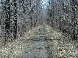 Cayuga County Trail; Fair Haven